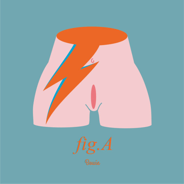 Fig.A Bowie