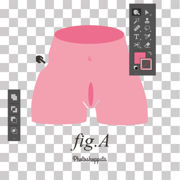 Fig.A photoshoppata