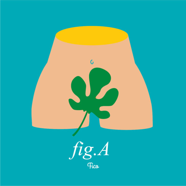 Fig.A Fico