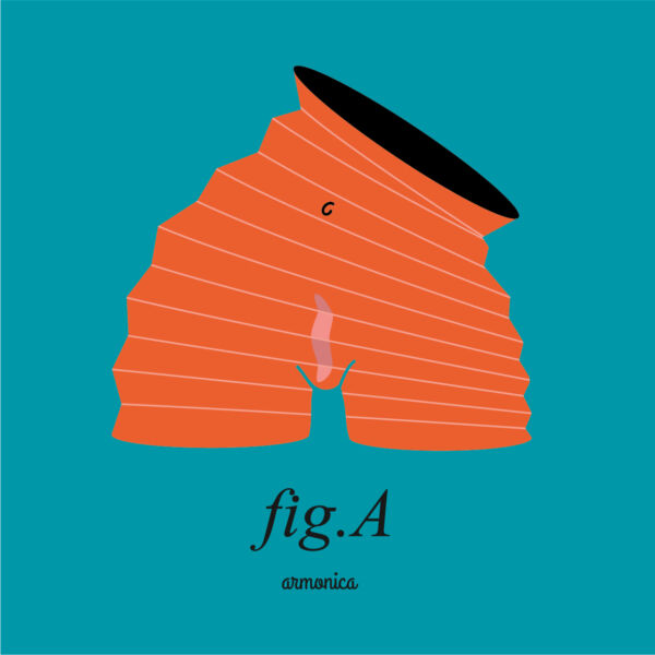 Fig.A armonica