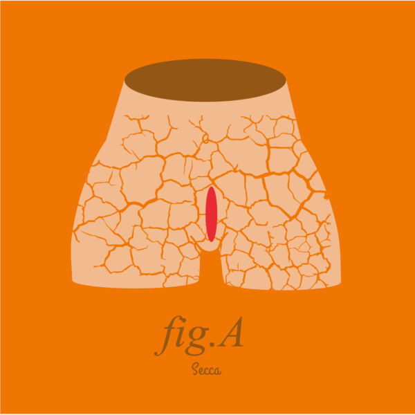 Fig.A secca