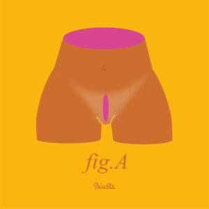 Fig.A Sbiadita