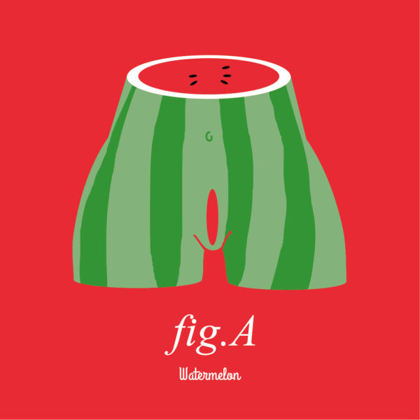 Fig.A Watermelon