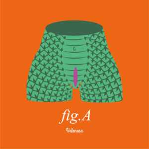 Fig.A Velenosa